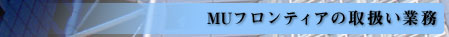 �l�t�t�����e�B�A�̎戵���Ɩ�